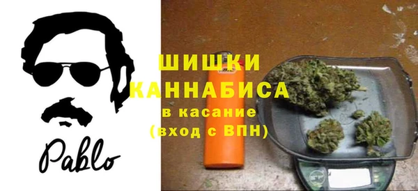 индика Горнозаводск