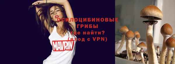 индика Горнозаводск