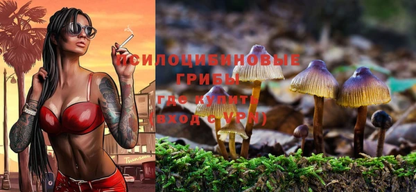 марки lsd Вяземский
